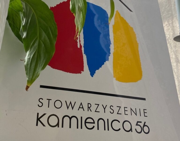 To jest temat. Organizacje pozarządowe. Większy ma lepiej