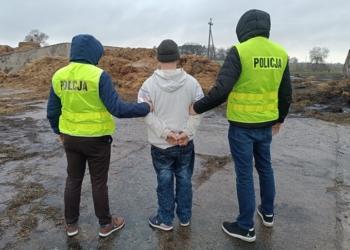 Pożar w gminie Dmosin. 26-letni podpalacz w rękach policji