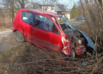 19-latek uderzył w drzewo. Nie miał prawa jazdy, miał promil alkoholu