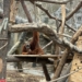 Łódzkie ZOO od środka. Poznaj mieszkańców i porozmawiaj z ich opiekunami 13 Łódzkie ZOO od środka. Poznaj mieszkańców i porozmawiaj z ich opiekunami