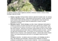 Co kazdy wlasciciel domu i ogrodka moze uczynic dla swiata 1 page 0005