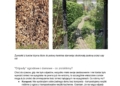Co kazdy wlasciciel domu i ogrodka moze uczynic dla swiata 1 page 0008