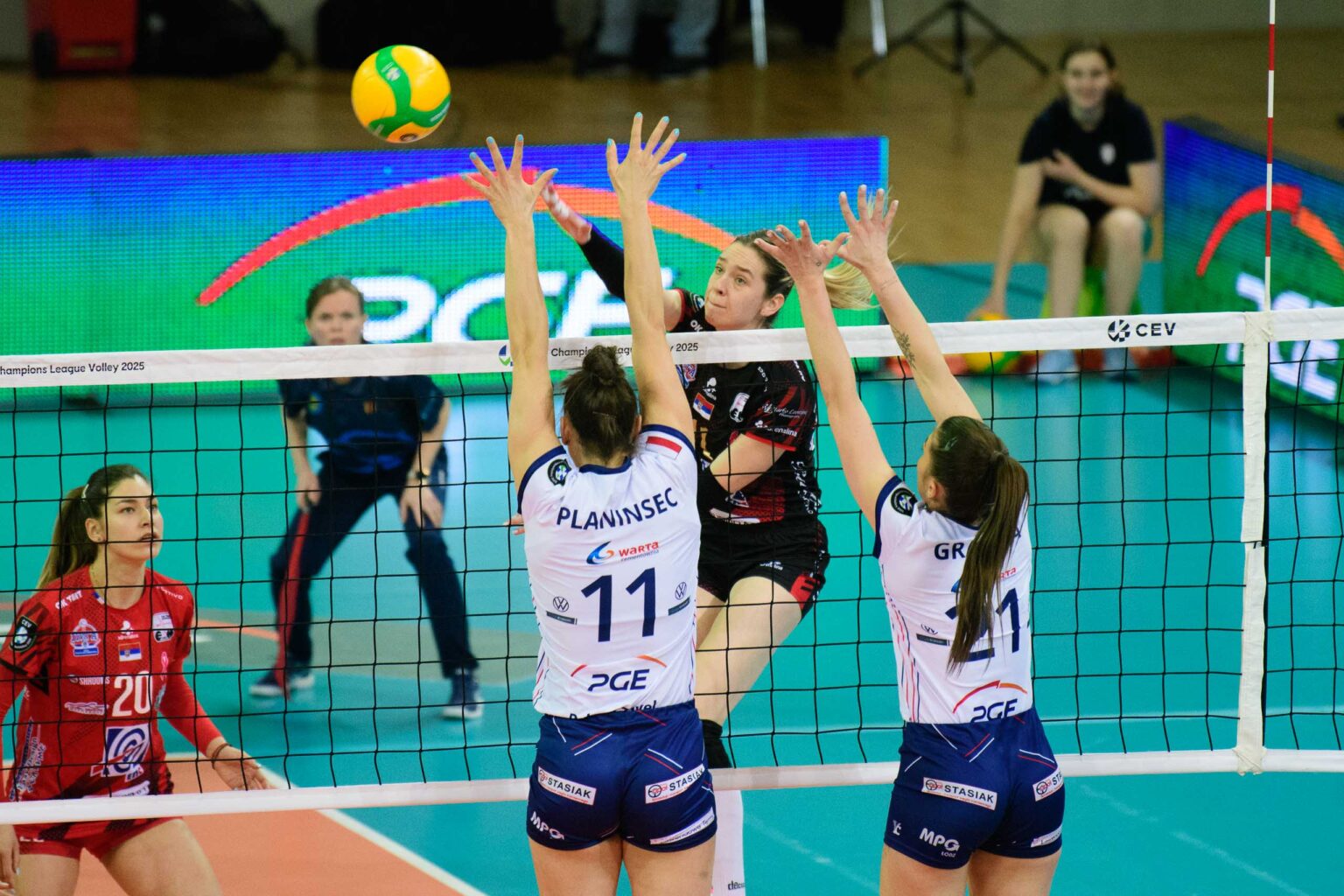 Grot Budowlani Lodz vs Odbojkaski klub TENT Fot Sebastian Szwajkowski 20