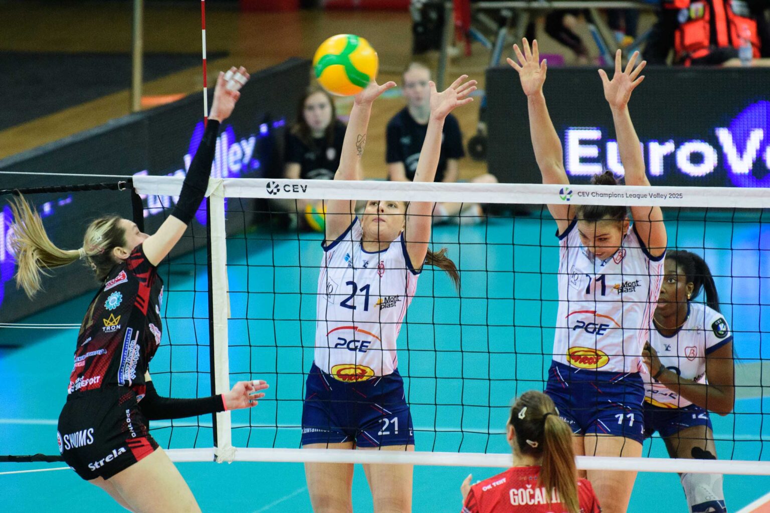 Grot Budowlani Lodz vs Odbojkaski klub TENT Fot Sebastian Szwajkowski 3