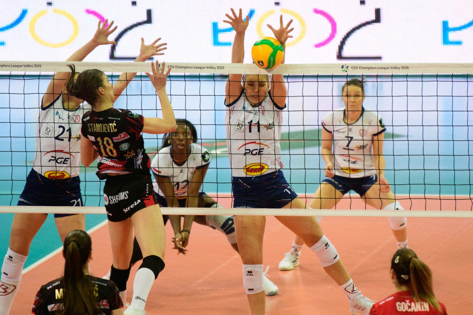 Grot Budowlani Lodz vs Odbojkaski klub TENT Fot Sebastian Szwajkowski 8