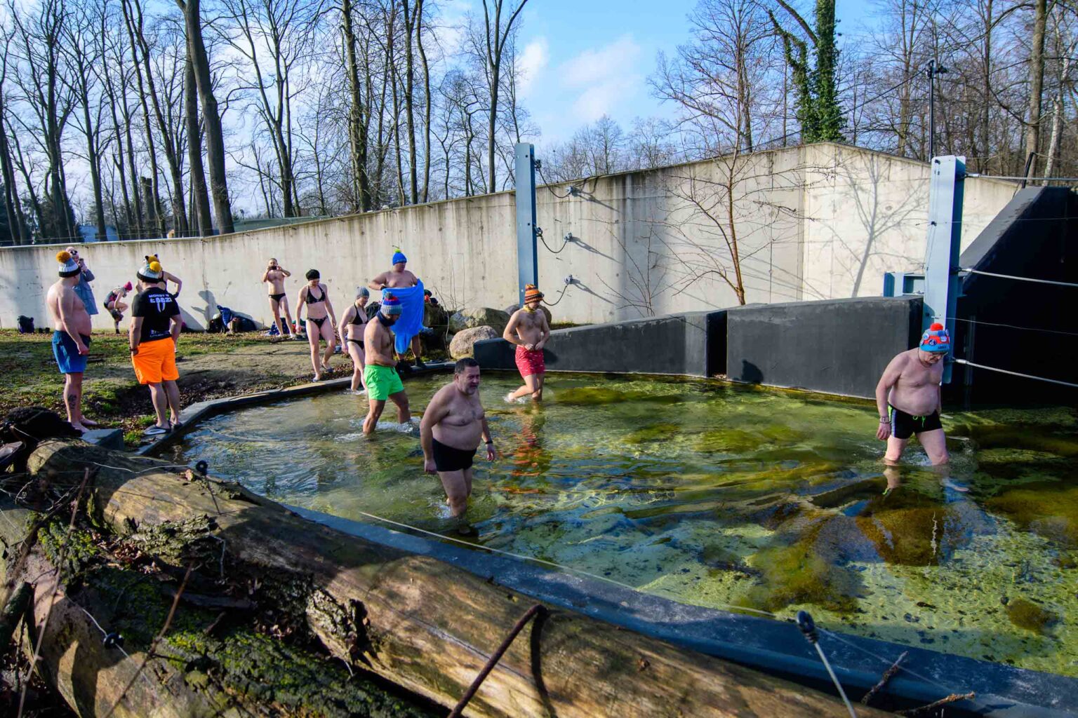 Morsowanie w lodzkim zoo Fot Sebastian Szwajkowski 34