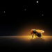 Niesamowity świat owadów. Sześcionożni astronauci. Czy owady podbijają kosmos? [PODCAST]