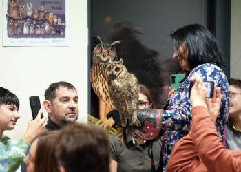 Noc sów w Zapolicach