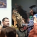 Noc sów w Zapolicach