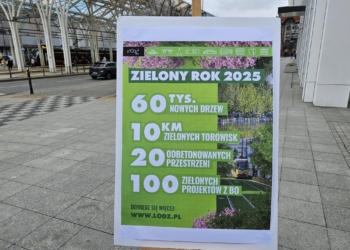 W Łodzi powstanie więcej terenów zielonych. 60 tysięcy nowych drzew