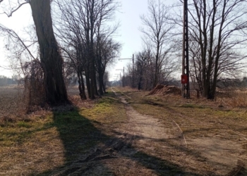 Tramwaj do Lutomierska już nie wróci? Nie kursuje od 6 lat