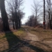 Tramwaj do Lutomierska już nie wróci? Nie kursuje od 6 lat
