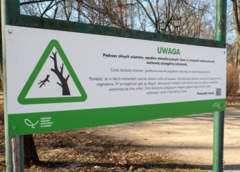 Nowość w łódzkich parkach. Tablice będą ostrzegać przed niebezpieczną pogodą