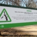 Nowość w łódzkich parkach. Tablice będą ostrzegać przed niebezpieczną pogodą