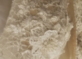 20250305 093012 scaled