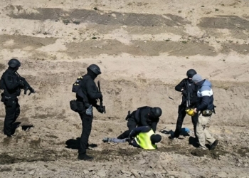 Kibole z Łodzi w rękach policji