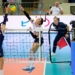 Grot Budowlani vs Savino Del Bene Scandicci Fot Sebastian Szwajkowski 10