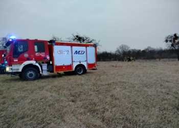 Pożar trawy w Nieborowie. Strażacy znaleźli ciało mężczyzny