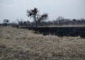IMG 20250311 WA0028