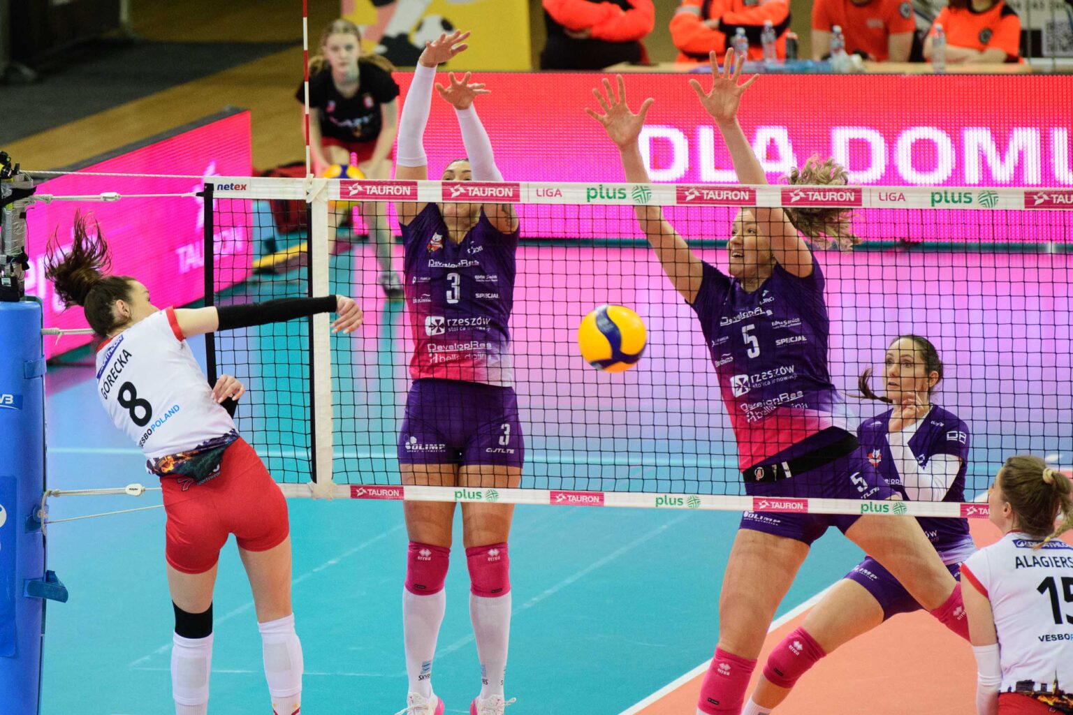 LKS Commercecon vs Developres Rzeszow Fot Sebastian Szwajkowski 19
