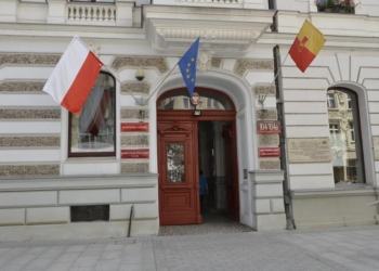 Łódź tworzy holding miejskich spółek. Na czele ZOO, oszczędności mają sięgnąć 46 mln zł
