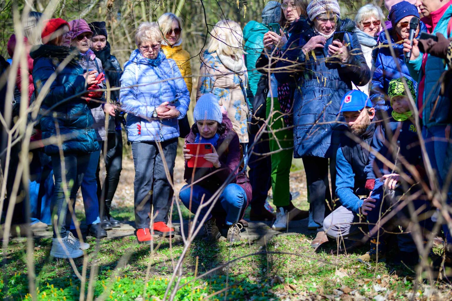 Wiosna w ogrodzie botanicznym Fot Sebastian Szwajkowski 2