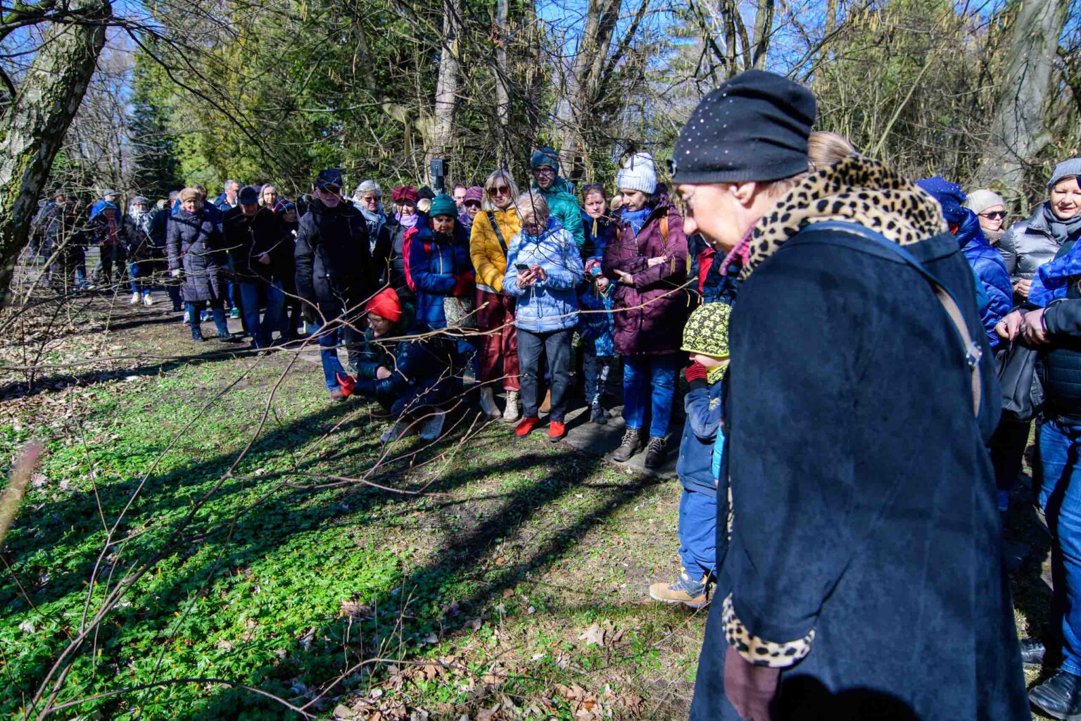 Wiosna w ogrodzie botanicznym Fot Sebastian Szwajkowski 20