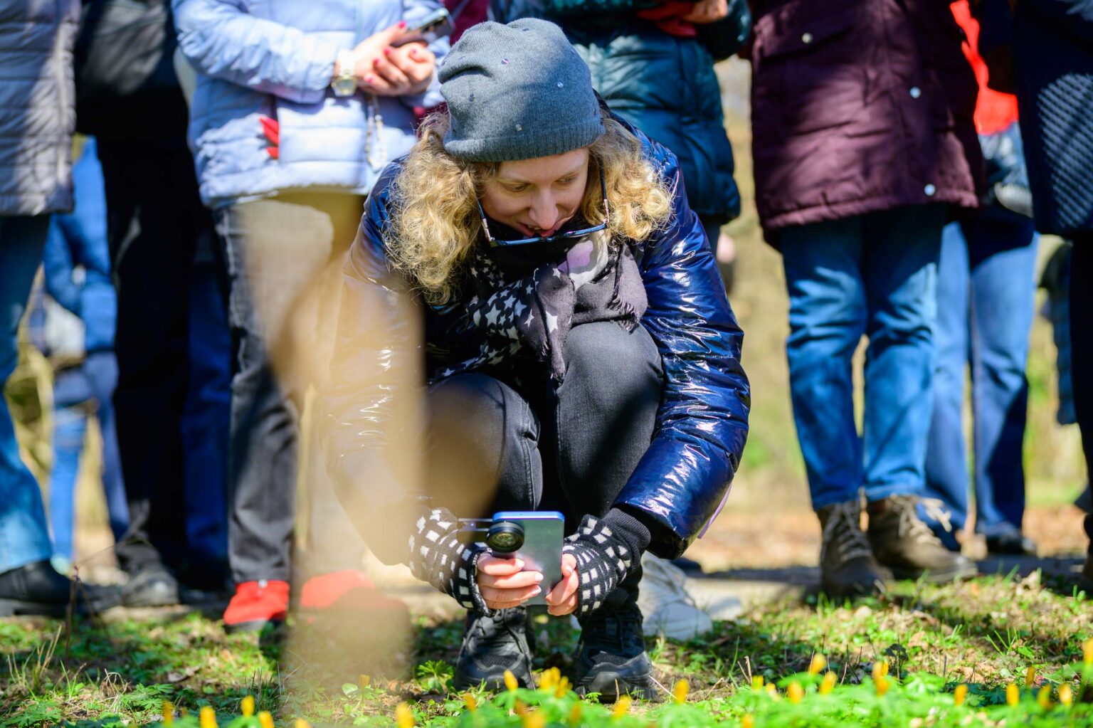 Wiosna w ogrodzie botanicznym Fot Sebastian Szwajkowski 4