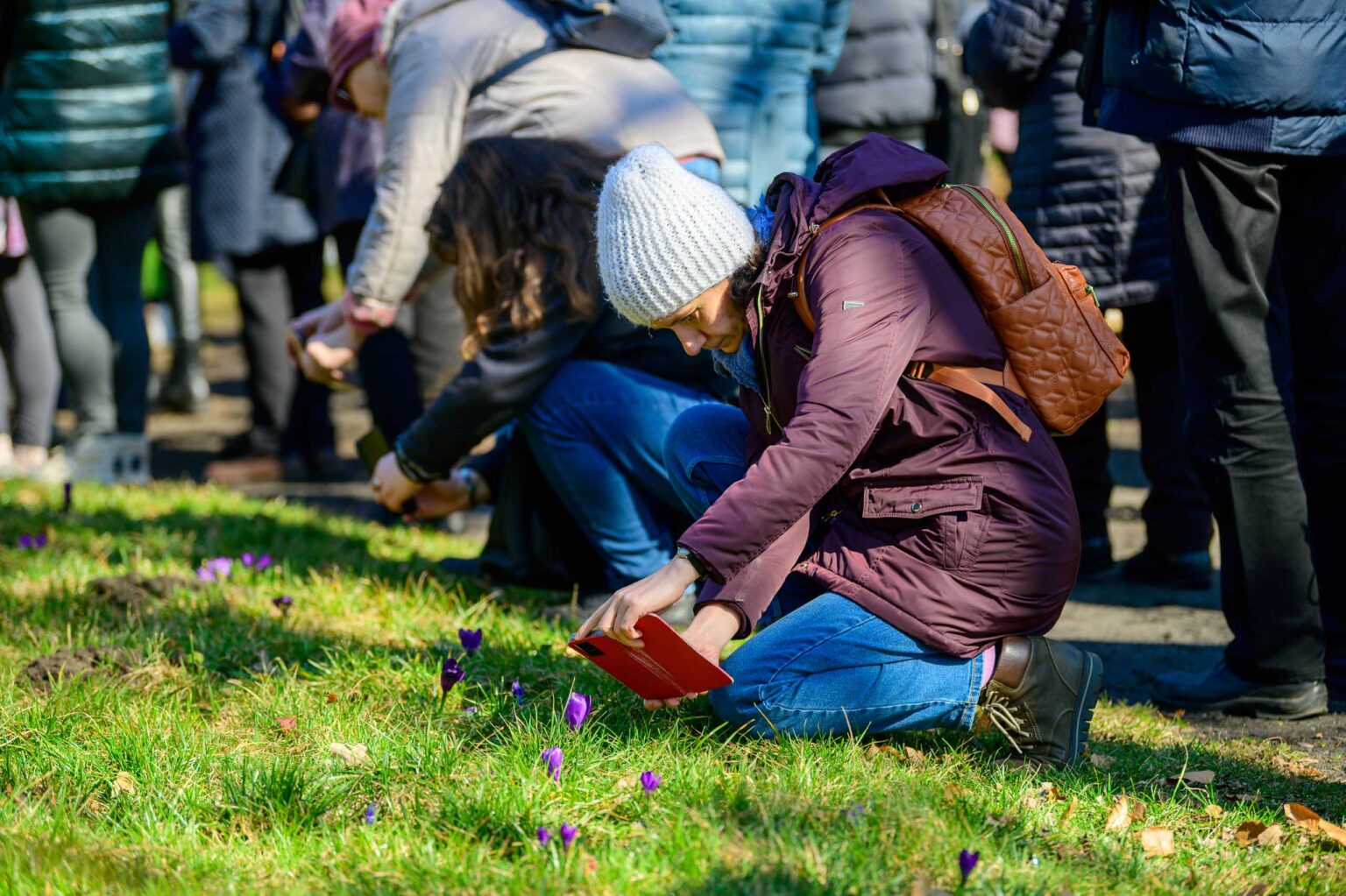 Wiosna w ogrodzie botanicznym Fot Sebastian Szwajkowski 6