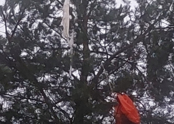 Tajemniczy balon na drzewie w Zduńskiej Woli