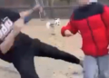 Znęcali się nad 13-latkiem w parku Sienkiewicza. Szokujące wideo trafiło do sieci