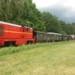 Rogowska Kolej Wąskotorowa wraca do kursowania. Są jednak pewne zmiany 12 Rogowska Kolej Wąskotorowa wraca do kursowania. Są jednak pewne zmiany