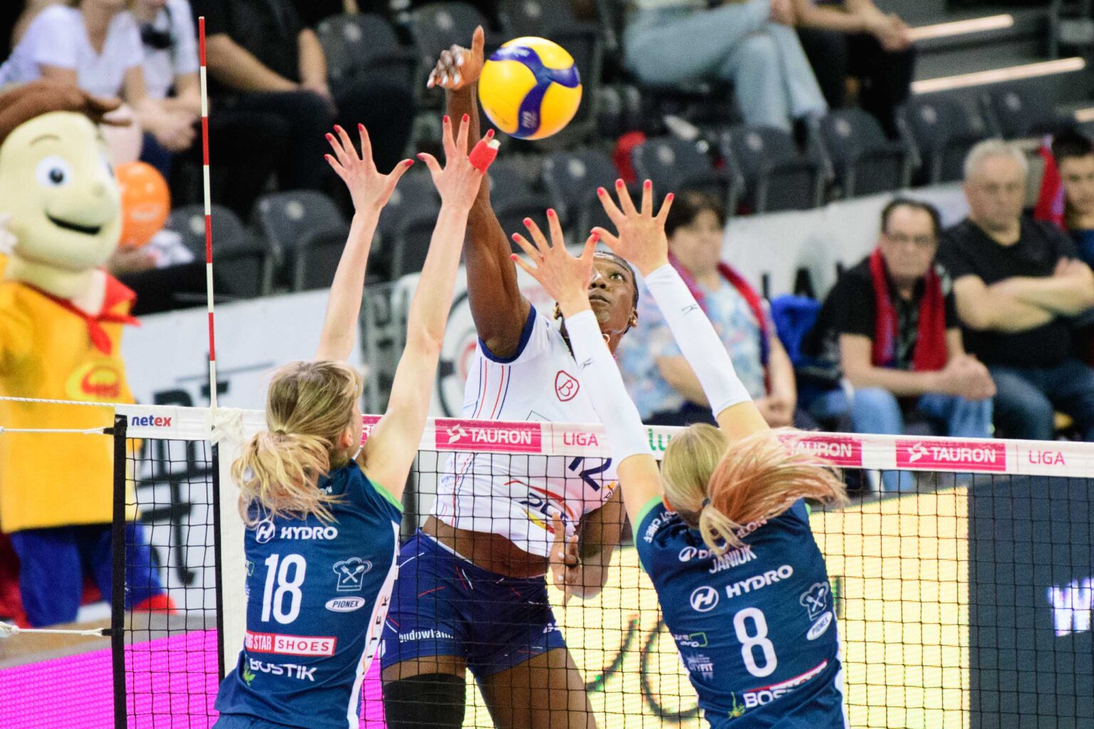 Grot Budowlane vs BKS Bielsko Biala Fot Sebastian Szwajkowski 23