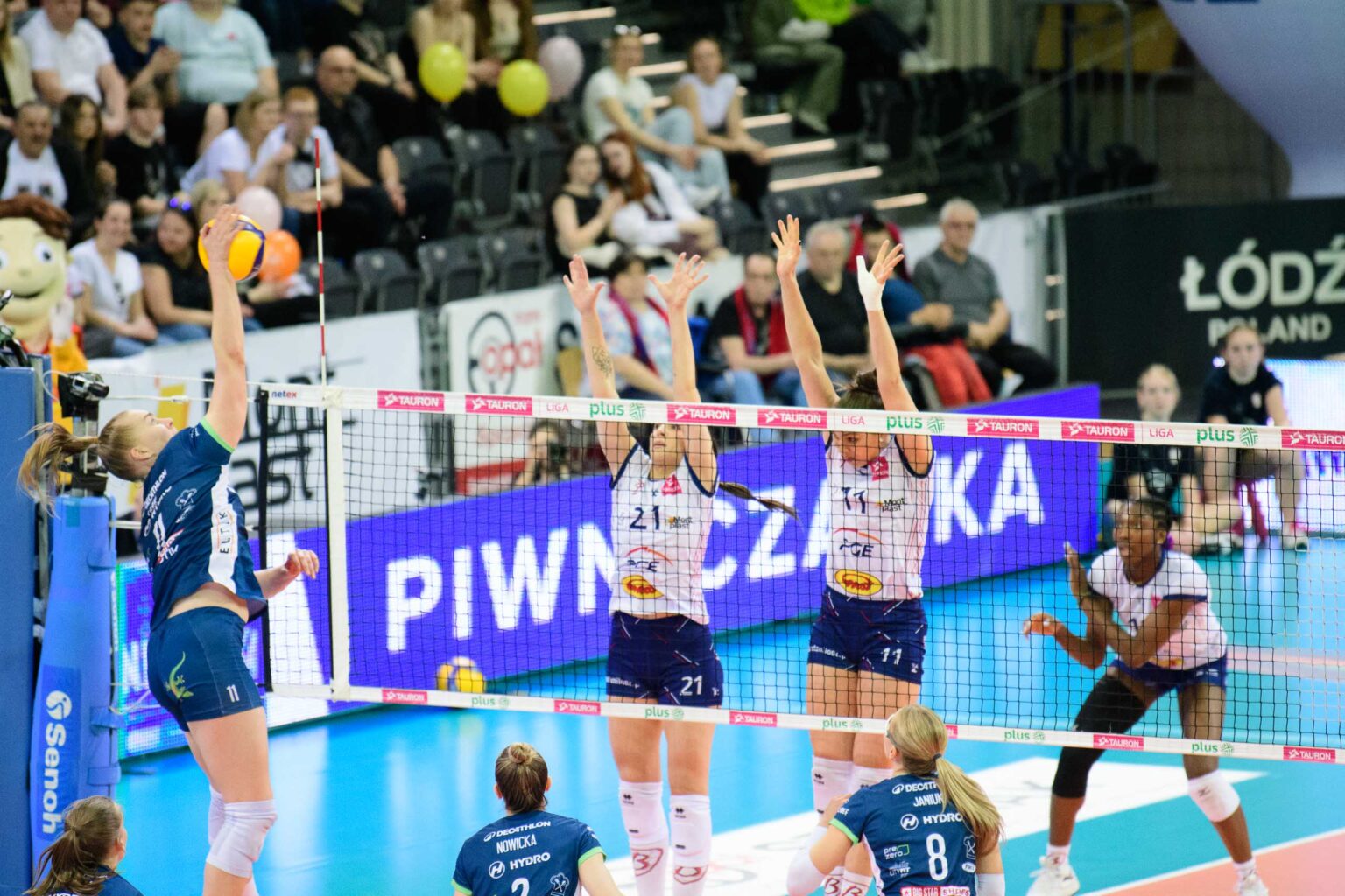 Grot Budowlane vs BKS Bielsko Biala Fot Sebastian Szwajkowski 27