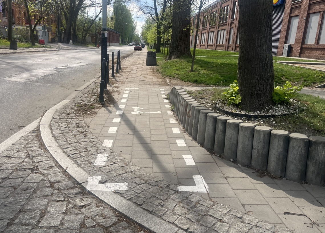 Problem z hulajnogami w Łodzi. Miał być porządek, są utrudnienia