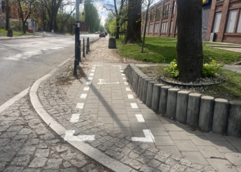 Problem z hulajnogami w Łodzi. Miał być porządek, są utrudnienia