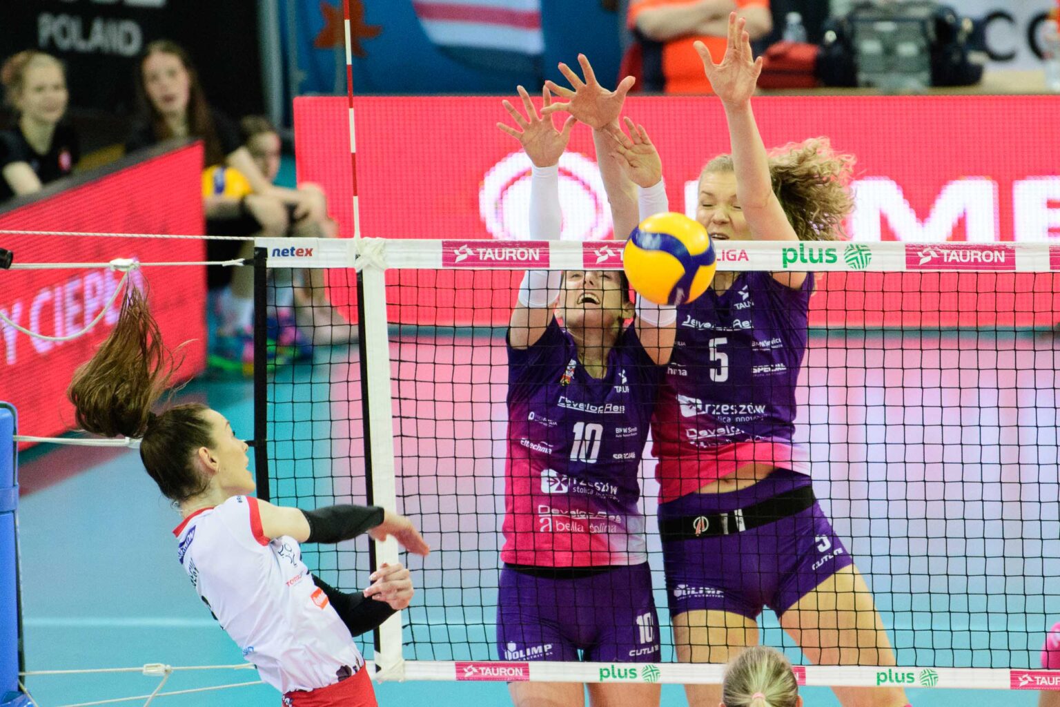 LKS Commercecon vs DevelopRes Rzeszow Fot Sebastian Szwajkowski 24