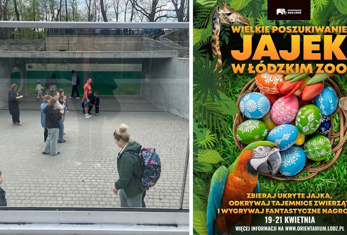 Zaginione jaja w Orientarium Zoo Łódź. Kto je znajdzie, dostanie nagrodę 1 Orientarium Zoo Łódź
