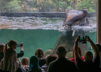 Orientarium ZOO Łódź ma już trzy lata. Jakie zmiany przyniosła przebudowa ogrodu?