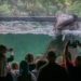 Orientarium ZOO Łódź ma już trzy lata. Jakie zmiany przyniosła przebudowa ogrodu?