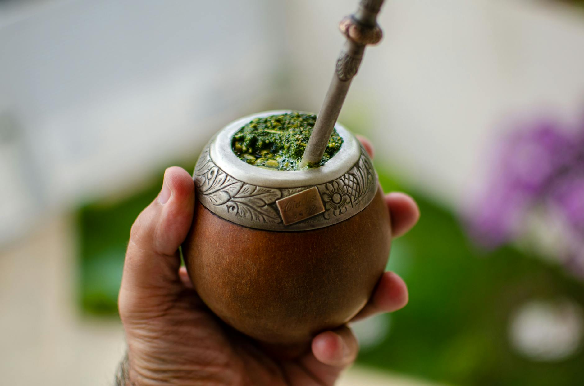 Yerba mate – sekret energii prosto z Ameryki Południowej 2 Yerba mate