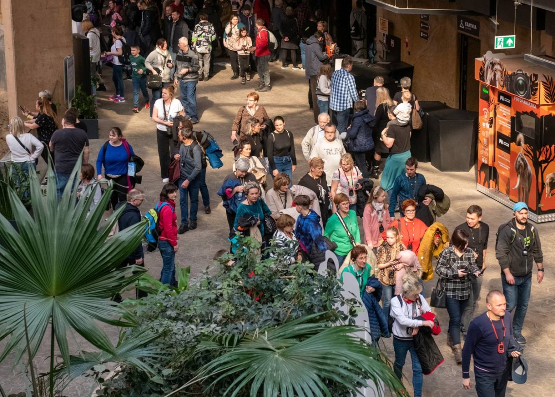 Orientarium ZOO Łódź ma już trzy lata. Jakie zmiany przyniosła przebudowa ogrodu?