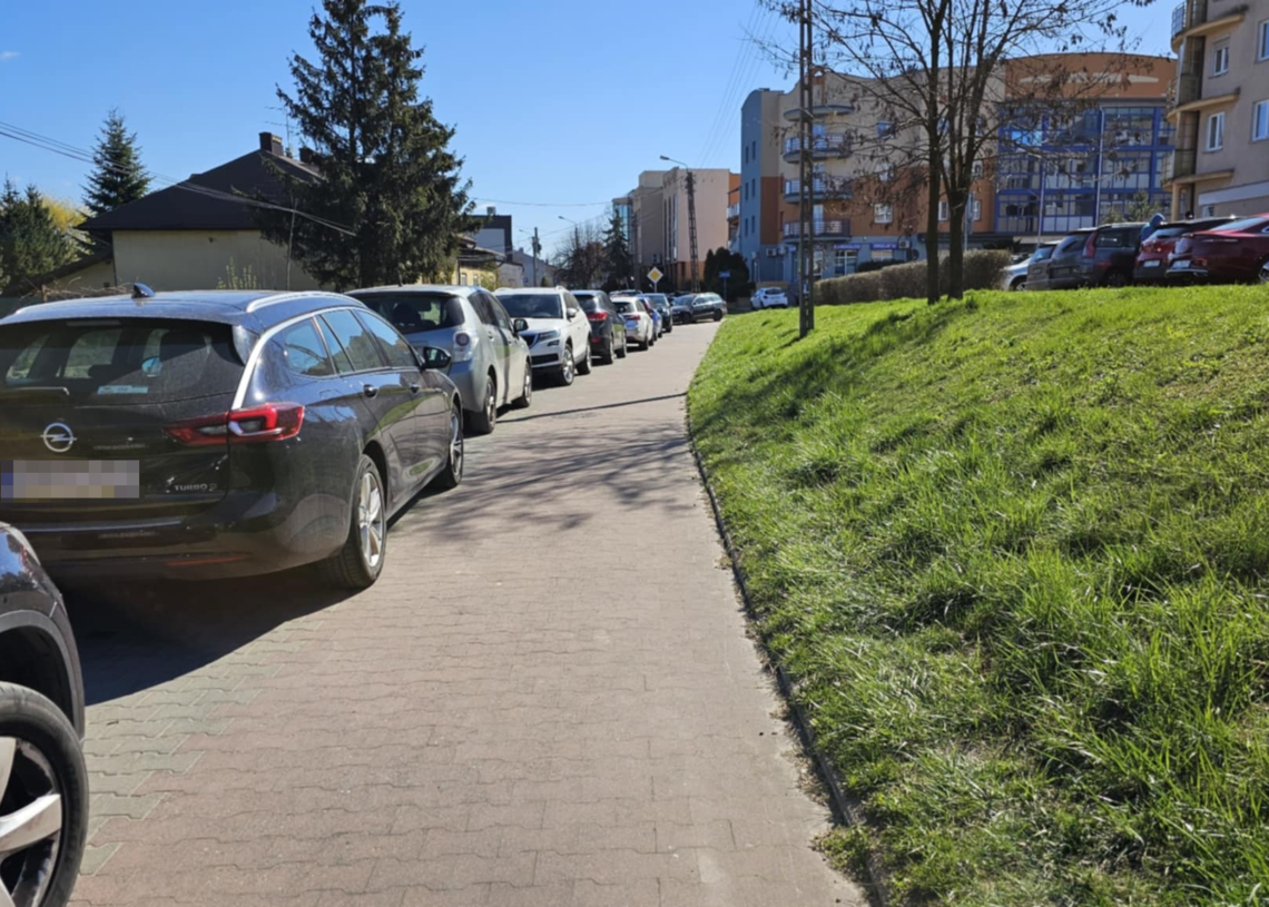 Parking zamiast drogi rowerowej. Zmiany na ul. Polnej w Piotrkowie Trybunalskim 1 Parking zamiast drogi rowerowej w Piotrkowie Trybunalskim