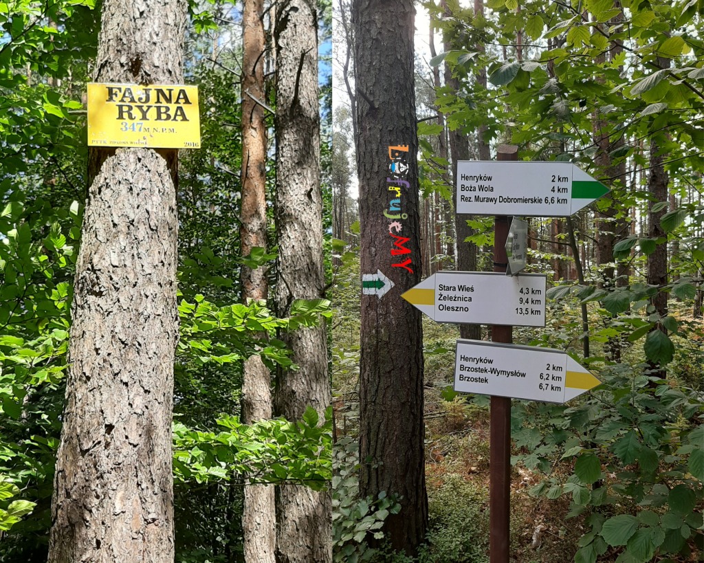 Weekend majowy w okolicach Łodzi. TOP 7 niebanalnych inspiracji 5 top lodzkie 2