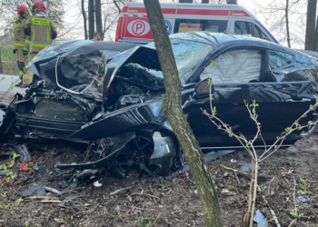 Groźny wypadek w gminie Stryków – kierowca uderzył w drzewo