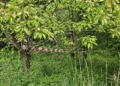 20250529 120234 scaled