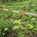 Mieszkańcy Andrzejowa prosili o wycięcie trującego Barszczu Sosnowskiego
