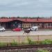 Łoś w Andrzejowie. Biegał przy stacji kolejowej i kierował się w stronę Rokicińskiej