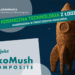 Kosmiczna technologia z Łodzi zwyciężyła w konkursie Space.Connect