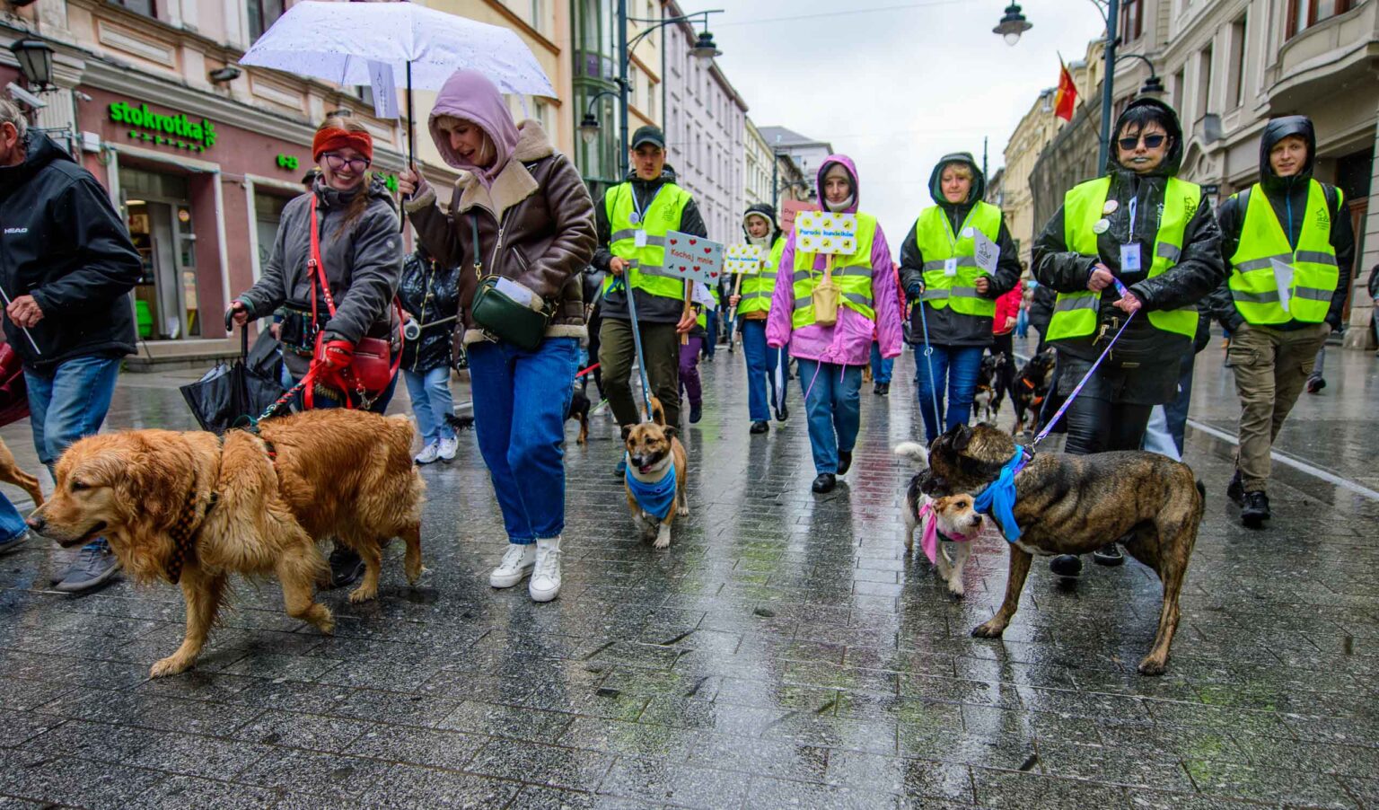 Parada Kundelkow ulica Piotrkowska Fot Sebastian Szwajkowski 11